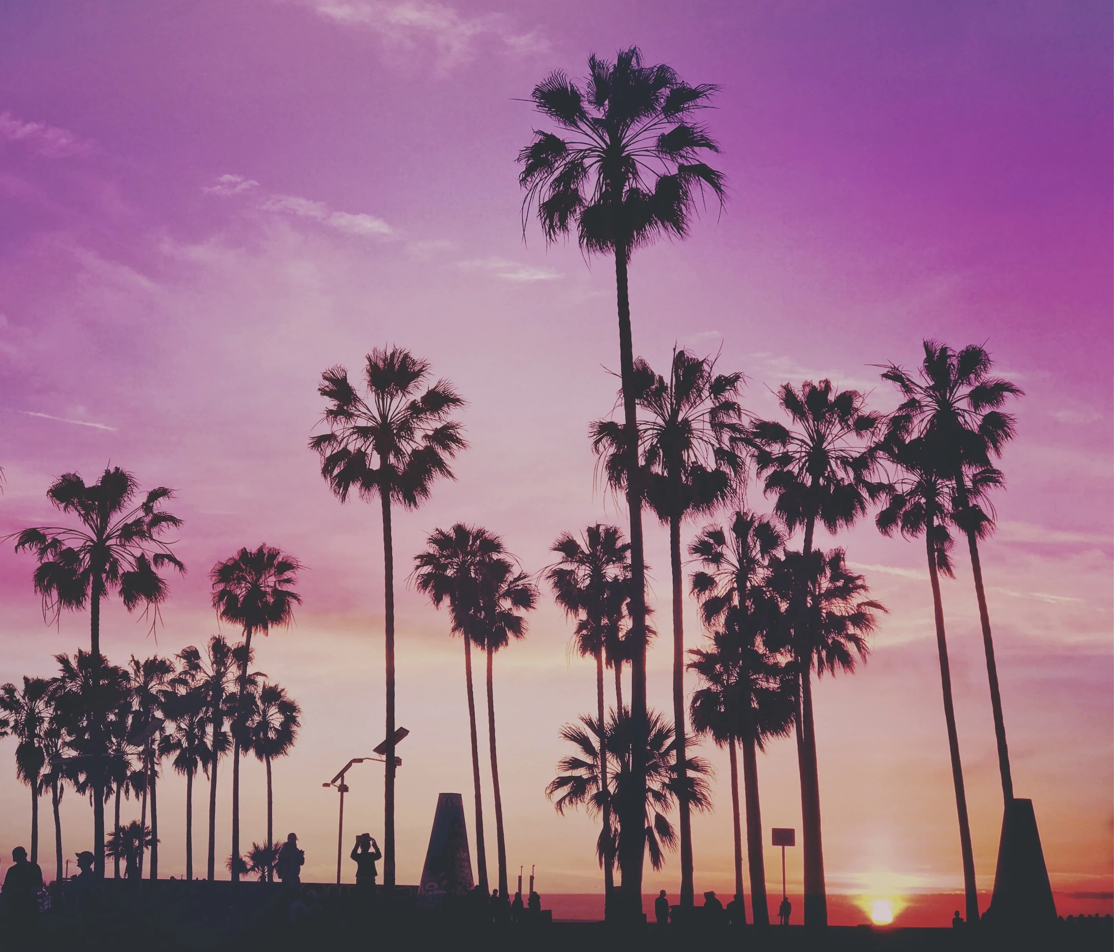 About Miami