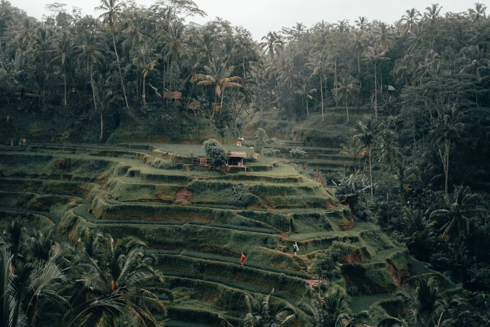 Bali landscape